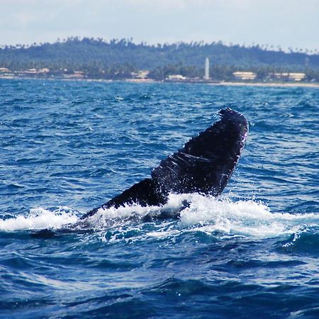 Pousada Praia Das Ondas - Pe Na Areia Itacimirim Exteriör bild