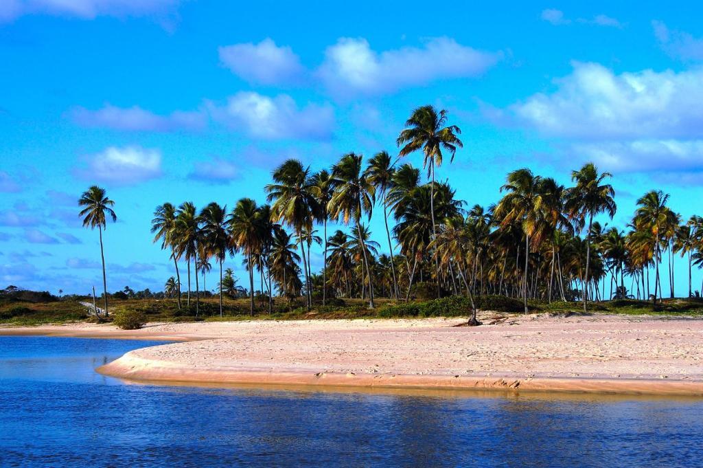 Pousada Praia Das Ondas - Pe Na Areia Itacimirim Exteriör bild
